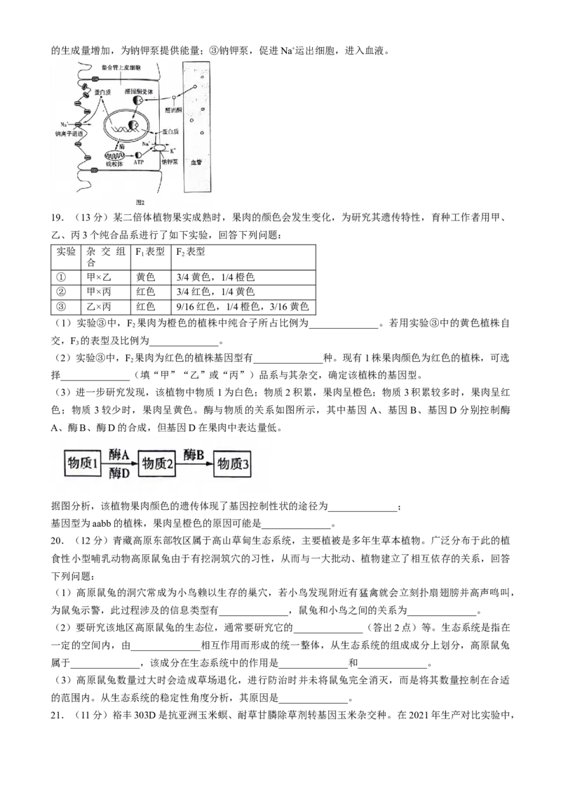 2025陕西省安康市高三上学期开学联考生物试题（有解析）_2024-2025高三（6-6月题库）_2024年09月试卷_09122025陕西省安康市高三上学期开学联考