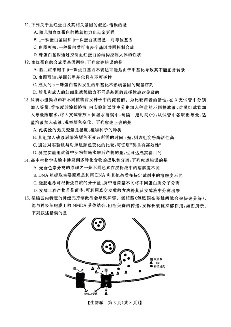 2025届浙江省浙江强基联盟高三10月联考-生物试题+答案_2024-2025高三（6-6月题库）_2024年10月试卷_10142025届浙江省浙江强基联盟高三10月联考