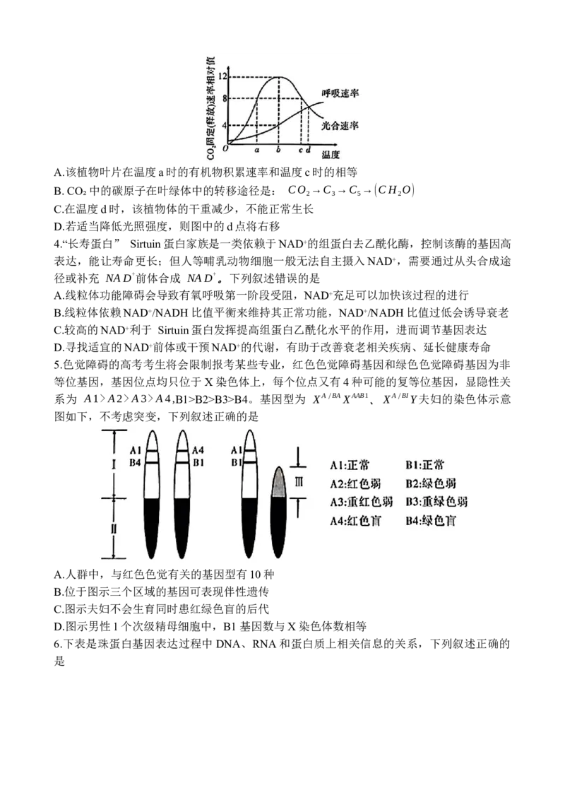 2025届安徽省江淮十校高三下学期4月第三次联考生物试题_2024-2025高三（6-6月题库）_2025年04月试卷_04222025届安徽省江淮十校高三下学期第三次联考（安庆4月联考）（全科）