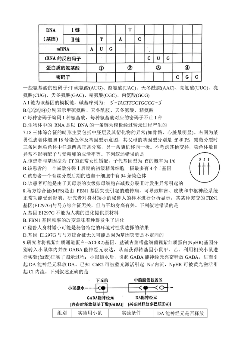 2025届安徽省江淮十校高三下学期4月第三次联考生物试题_2024-2025高三（6-6月题库）_2025年04月试卷_04222025届安徽省江淮十校高三下学期第三次联考（安庆4月联考）（全科）