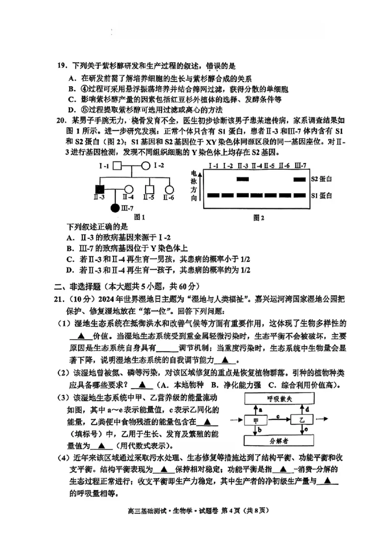 2025届浙江省嘉兴市高三9月基础测试月-生物试卷+答案_2024-2025高三（6-6月题库）_2024年09月试卷_09212025届浙江省嘉兴市高三9月基础测试月（word）
