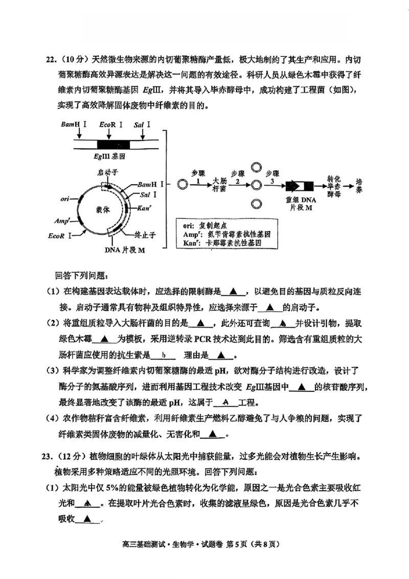 2025届浙江省嘉兴市高三9月基础测试月-生物试卷+答案_2024-2025高三（6-6月题库）_2024年09月试卷_09212025届浙江省嘉兴市高三9月基础测试月（word）