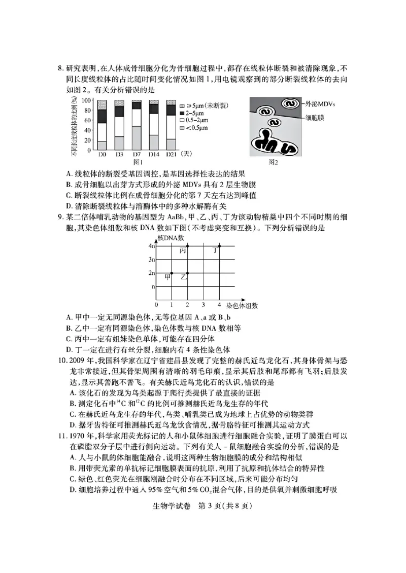 湖北省第九届2024届高三下学期4月调研模拟考试生物试题(1)_2024年4月_024月合集_2024届湖北省第九届高三下学期4月调研模拟考试