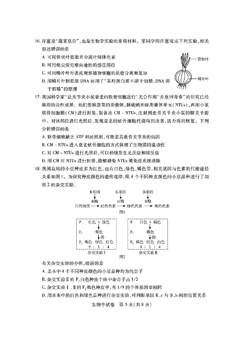 湖北省第九届2024届高三下学期4月调研模拟考试生物试题(1)_2024年4月_024月合集_2024届湖北省第九届高三下学期4月调研模拟考试