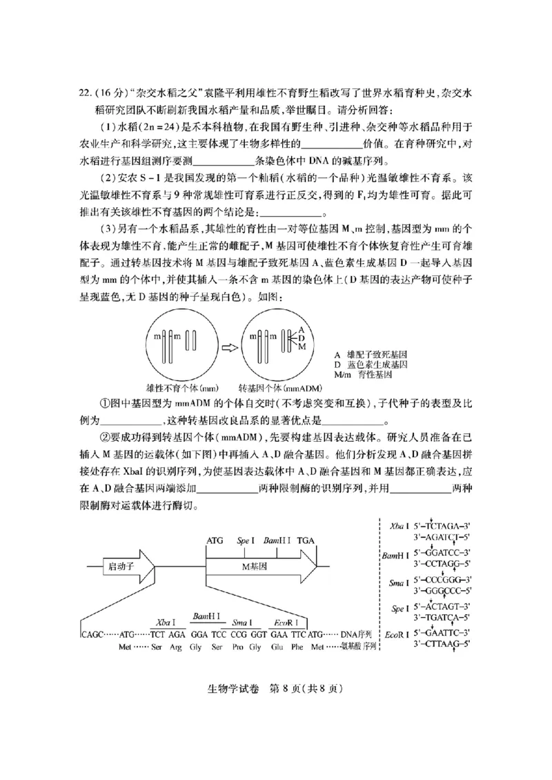 湖北省第九届2024届高三下学期4月调研模拟考试生物试题(1)_2024年4月_024月合集_2024届湖北省第九届高三下学期4月调研模拟考试