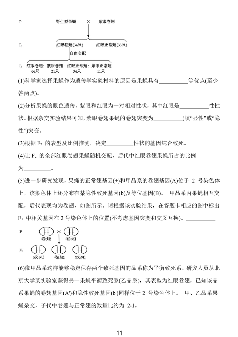 2024年10月江苏高三金太阳生物试题_2024-2025高三（6-6月题库）_2024年10月试卷_1028江苏省2025届高三金太阳10月百校联考（25-71C）_2024年10月江苏高三金太阳生物