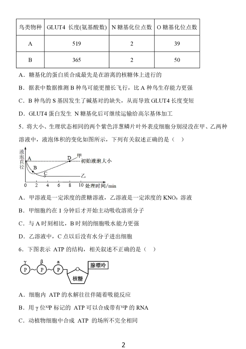 2024年10月江苏高三金太阳生物试题_2024-2025高三（6-6月题库）_2024年10月试卷_1028江苏省2025届高三金太阳10月百校联考（25-71C）_2024年10月江苏高三金太阳生物