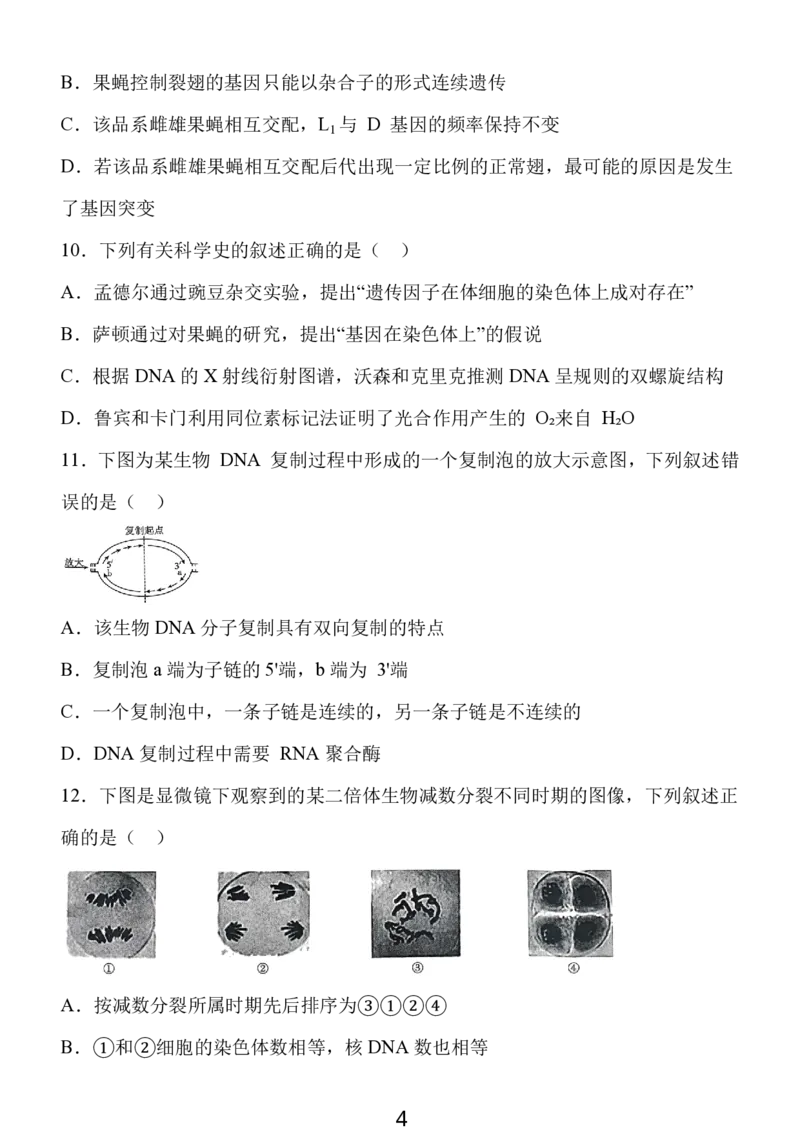 2024年10月江苏高三金太阳生物试题_2024-2025高三（6-6月题库）_2024年10月试卷_1028江苏省2025届高三金太阳10月百校联考（25-71C）_2024年10月江苏高三金太阳生物