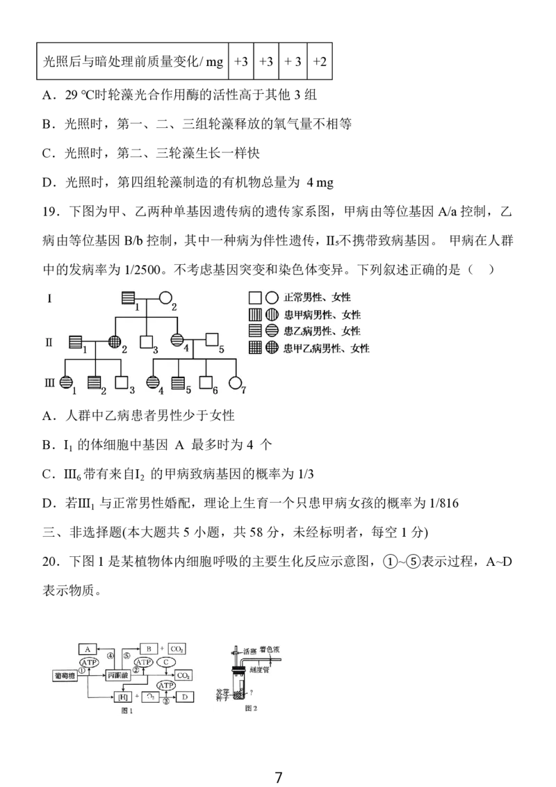2024年10月江苏高三金太阳生物试题_2024-2025高三（6-6月题库）_2024年10月试卷_1028江苏省2025届高三金太阳10月百校联考（25-71C）_2024年10月江苏高三金太阳生物