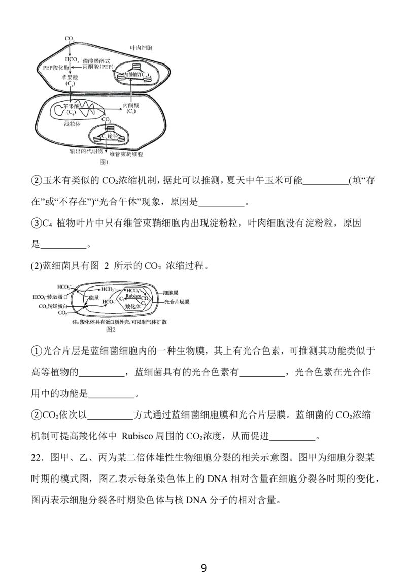 2024年10月江苏高三金太阳生物试题_2024-2025高三（6-6月题库）_2024年10月试卷_1028江苏省2025届高三金太阳10月百校联考（25-71C）_2024年10月江苏高三金太阳生物