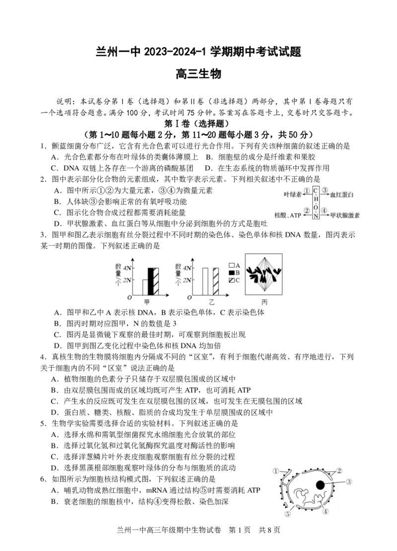 兰州一中2023-2024-1学期期中考试高三生物试题(1)_2023年11月_0211月合集_2024届甘肃省兰州第一中学高三上学期11月期中_甘肃省兰州第一中学2024届高三上学期11月期中生物