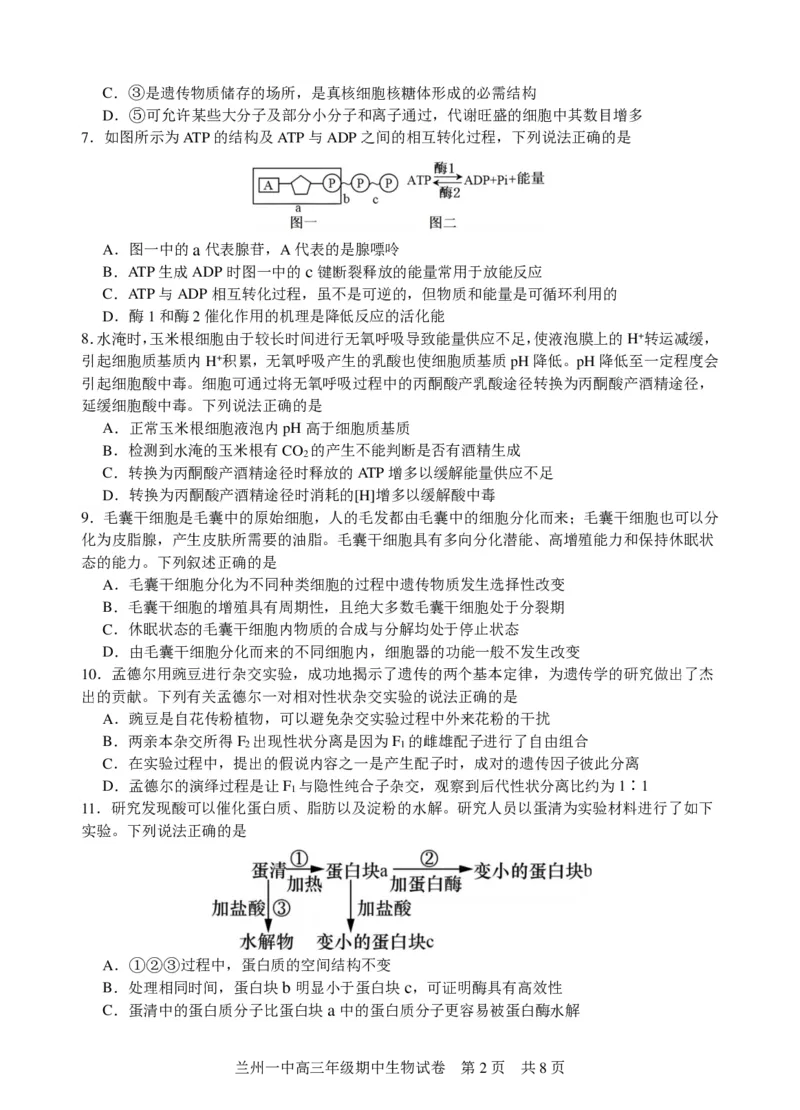 兰州一中2023-2024-1学期期中考试高三生物试题(1)_2023年11月_0211月合集_2024届甘肃省兰州第一中学高三上学期11月期中_甘肃省兰州第一中学2024届高三上学期11月期中生物