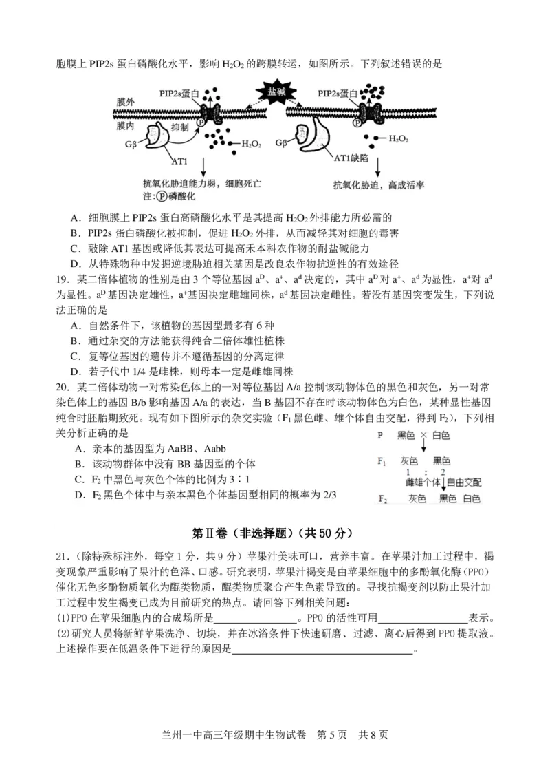 兰州一中2023-2024-1学期期中考试高三生物试题(1)_2023年11月_0211月合集_2024届甘肃省兰州第一中学高三上学期11月期中_甘肃省兰州第一中学2024届高三上学期11月期中生物