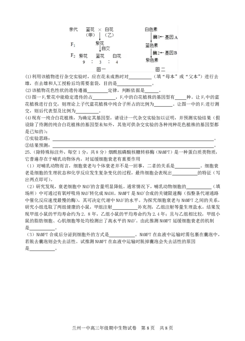 兰州一中2023-2024-1学期期中考试高三生物试题(1)_2023年11月_0211月合集_2024届甘肃省兰州第一中学高三上学期11月期中_甘肃省兰州第一中学2024届高三上学期11月期中生物