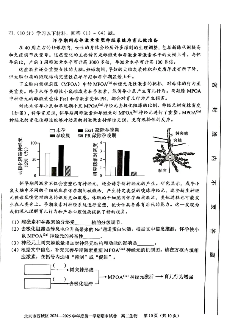 北京市西城区2024-2025学年高二上学期期末考试生物试卷（PDF版，含答案）_2024-2025高二（7-7月题库）_2025年01月试卷_0124北京市西城区2024-2025学年高二上学期期末考试
