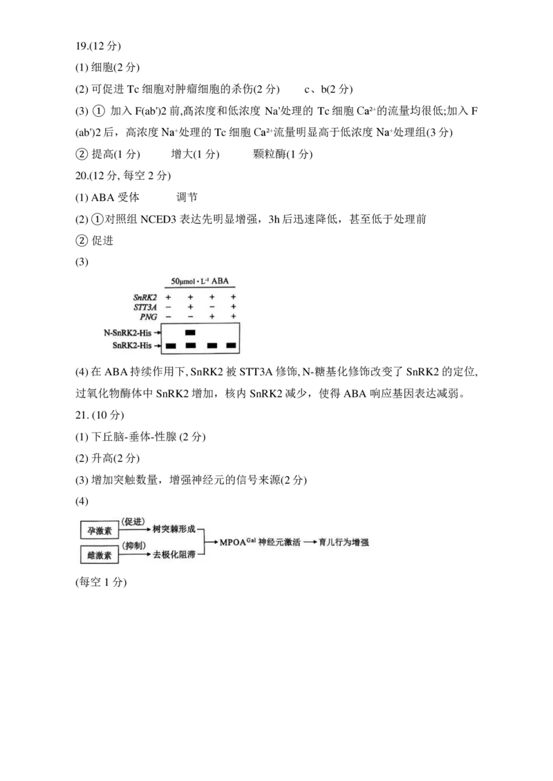 北京市西城区2024-2025学年高二上学期期末考试生物试卷（PDF版，含答案）_2024-2025高二（7-7月题库）_2025年01月试卷_0124北京市西城区2024-2025学年高二上学期期末考试