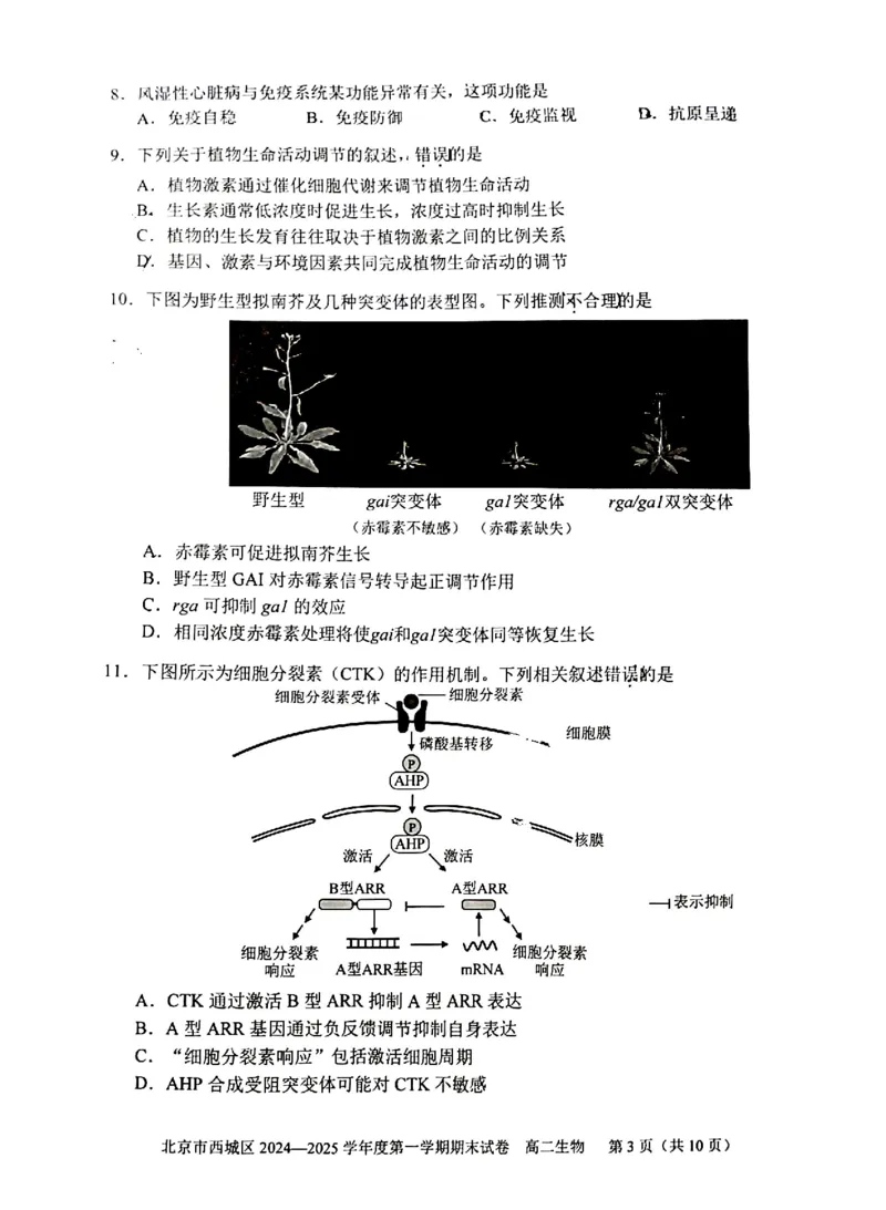 北京市西城区2024-2025学年高二上学期期末考试生物试卷（PDF版，含答案）_2024-2025高二（7-7月题库）_2025年01月试卷_0124北京市西城区2024-2025学年高二上学期期末考试