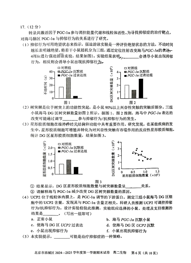 北京市西城区2024-2025学年高二上学期期末考试生物试卷（PDF版，含答案）_2024-2025高二（7-7月题库）_2025年01月试卷_0124北京市西城区2024-2025学年高二上学期期末考试