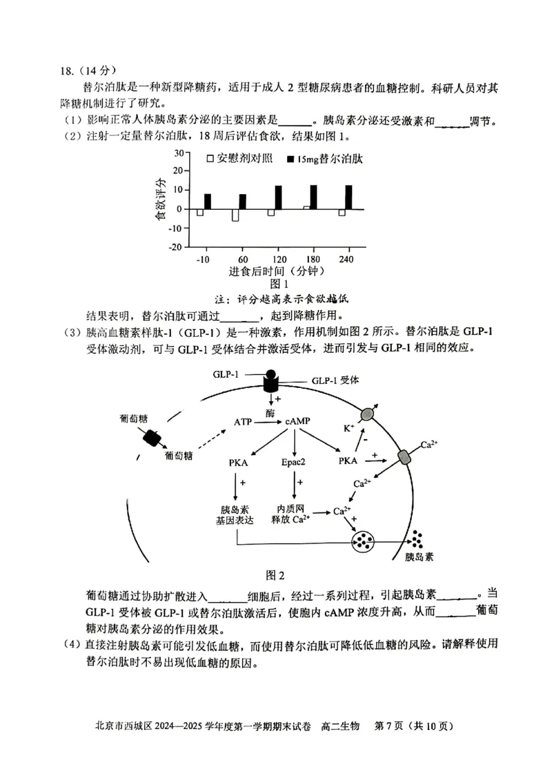 北京市西城区2024-2025学年高二上学期期末考试生物试卷（PDF版，含答案）_2024-2025高二（7-7月题库）_2025年01月试卷_0124北京市西城区2024-2025学年高二上学期期末考试