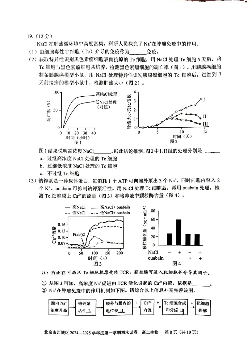 北京市西城区2024-2025学年高二上学期期末考试生物试卷（PDF版，含答案）_2024-2025高二（7-7月题库）_2025年01月试卷_0124北京市西城区2024-2025学年高二上学期期末考试