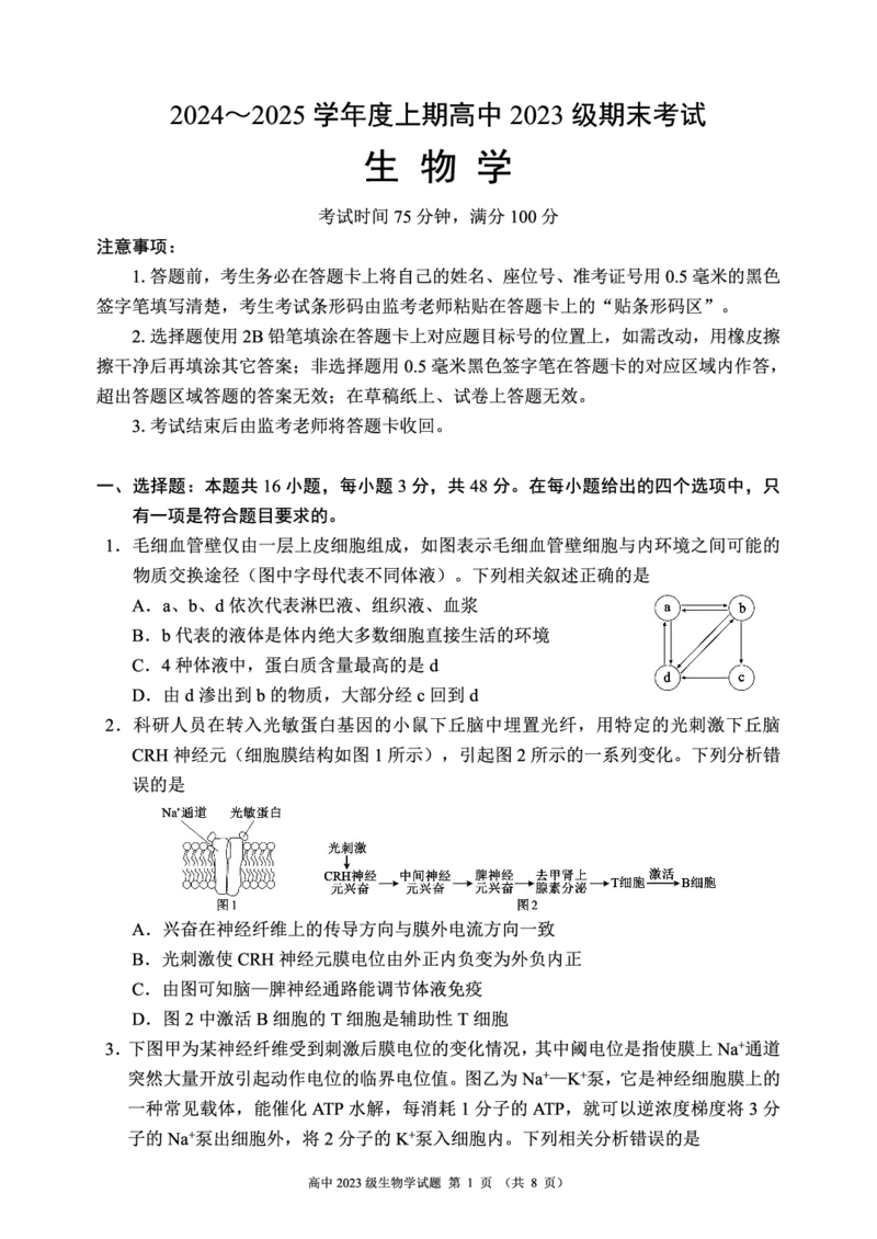 2024～2025学年度上期高中2023级期末联考生物学试题（8页）_2024-2025高二（7-7月题库）_2024年12月试卷_1226四川省成都市蓉城名校联盟2024-2025学年高二上学期期末考试