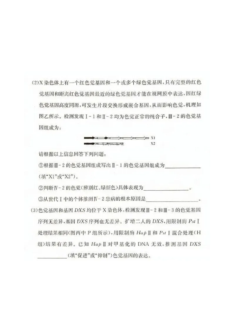 2025届湖南省&rdquo;炎德英才&ldquo;长郡中学高三10月月考-生物试卷+答案_2024-2025高三（6-6月题库）_2024年10月试卷_10072025届湖南省&rdquo;炎德英才&ldquo;长郡中学高三10月月考