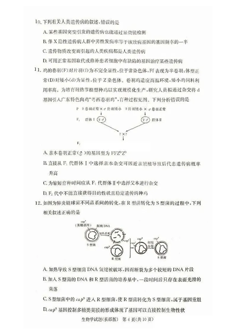 2025届湖南省&rdquo;炎德英才&ldquo;长郡中学高三10月月考-生物试卷+答案_2024-2025高三（6-6月题库）_2024年10月试卷_10072025届湖南省&rdquo;炎德英才&ldquo;长郡中学高三10月月考