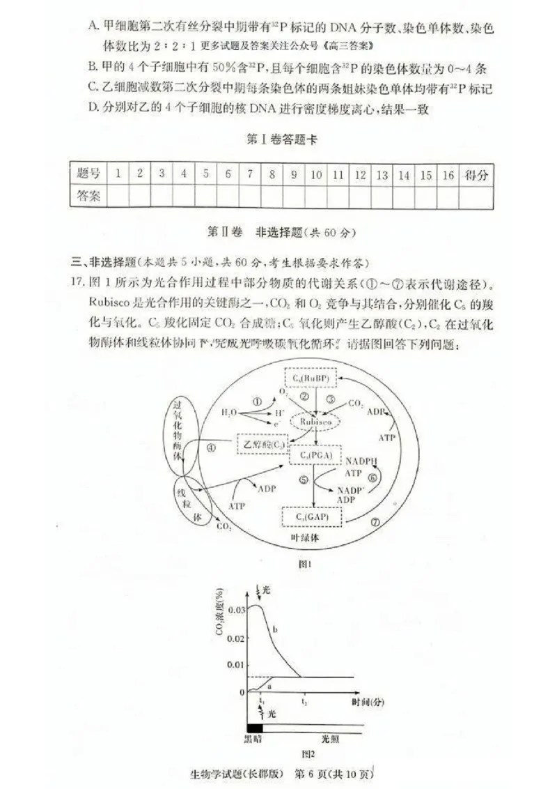 2025届湖南省&rdquo;炎德英才&ldquo;长郡中学高三10月月考-生物试卷+答案_2024-2025高三（6-6月题库）_2024年10月试卷_10072025届湖南省&rdquo;炎德英才&ldquo;长郡中学高三10月月考