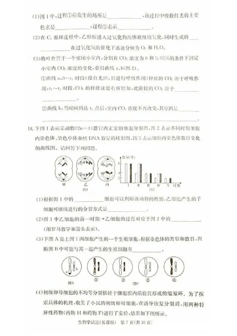 2025届湖南省&rdquo;炎德英才&ldquo;长郡中学高三10月月考-生物试卷+答案_2024-2025高三（6-6月题库）_2024年10月试卷_10072025届湖南省&rdquo;炎德英才&ldquo;长郡中学高三10月月考