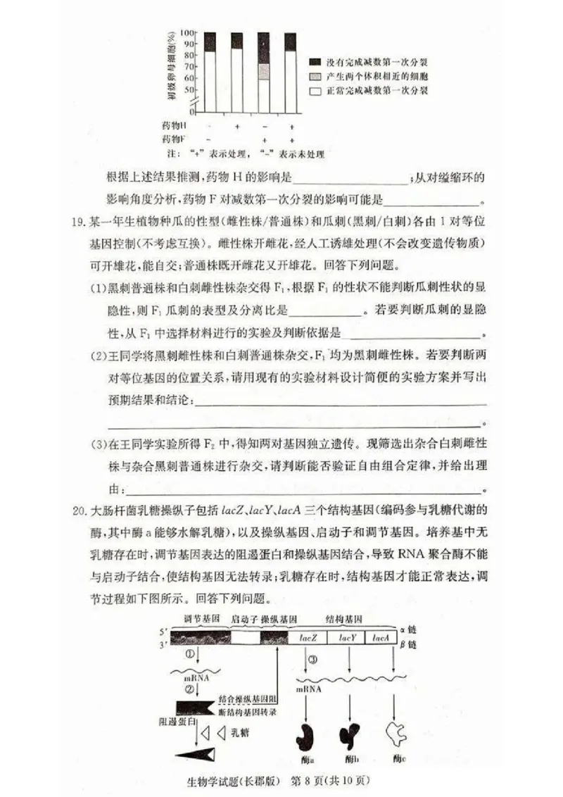 2025届湖南省&rdquo;炎德英才&ldquo;长郡中学高三10月月考-生物试卷+答案_2024-2025高三（6-6月题库）_2024年10月试卷_10072025届湖南省&rdquo;炎德英才&ldquo;长郡中学高三10月月考