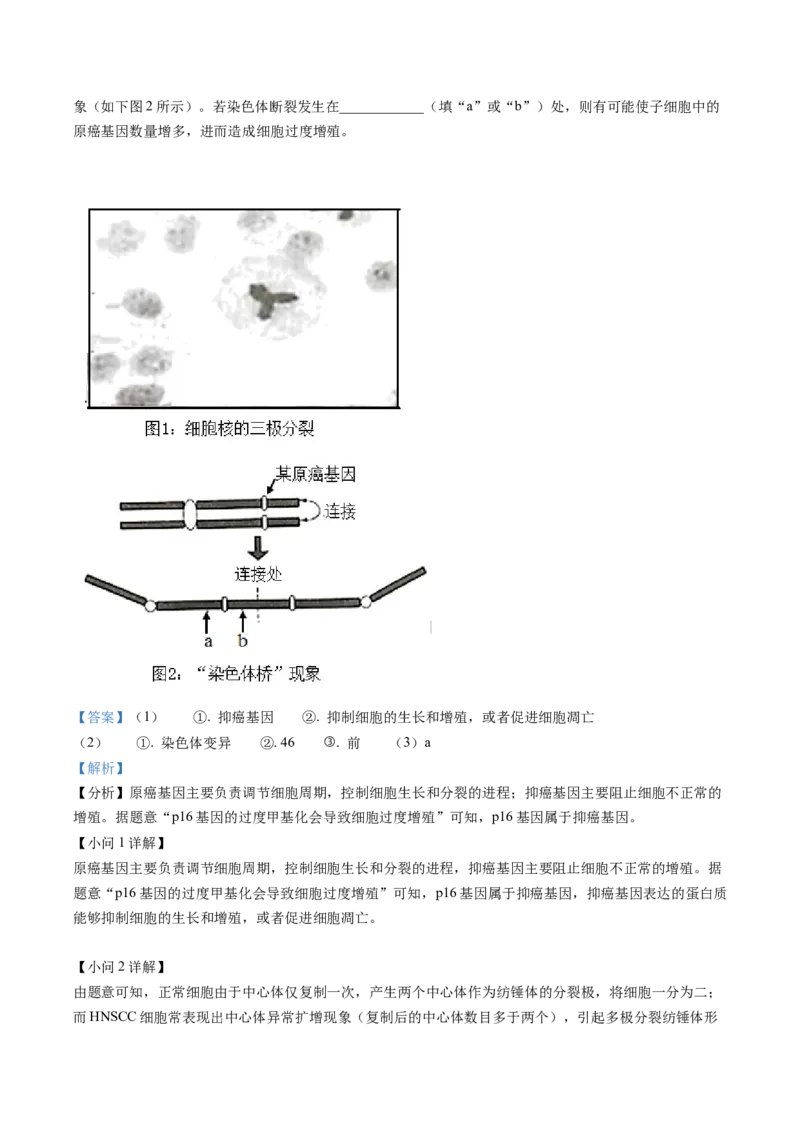 湖南省长沙市雅礼中学2022-2023学年高三月考（七）生物试题（解析版）_2024年2月_01每日更新_13号_2023届湖南省长沙市雅礼中学高三下学期月考（七）全科