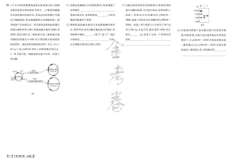 2025《金考卷&middot;特快专递&middot;第4期》生物-A3_2024-2025高三（6-6月题库）_2025年01月试卷_01012025《金考卷&middot;特快专递&middot;第4期》_生物
