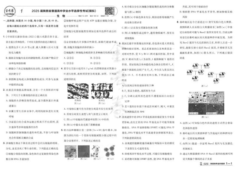 2025《金考卷&middot;特快专递&middot;第4期》生物-A3_2024-2025高三（6-6月题库）_2025年01月试卷_01012025《金考卷&middot;特快专递&middot;第4期》_生物
