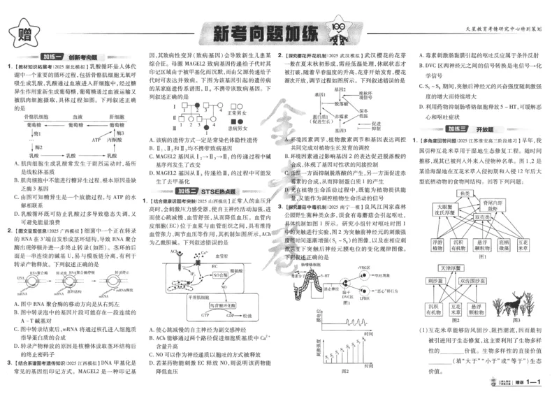 2025《金考卷&middot;特快专递&middot;第4期》生物-A3_2024-2025高三（6-6月题库）_2025年01月试卷_01012025《金考卷&middot;特快专递&middot;第4期》_生物