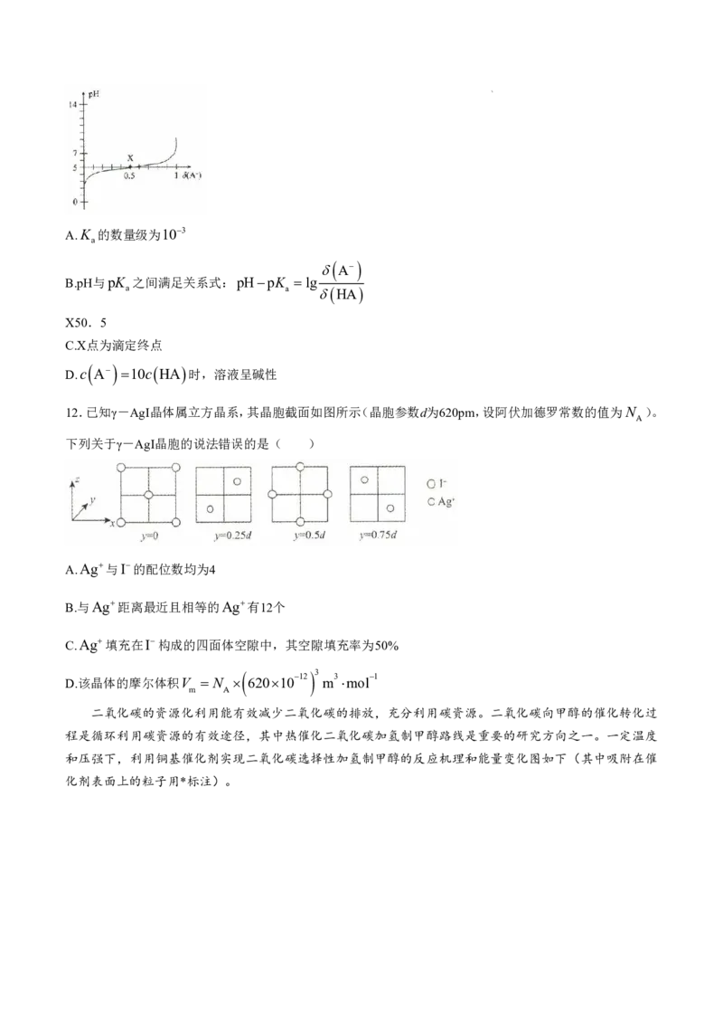 2025届河北省沧州市运东五校高三11月期中考-化学试卷+答案_2024-2025高三（6-6月题库）_2024年11月试卷_11262025届河北省沧州市运东五校高三11月期中考