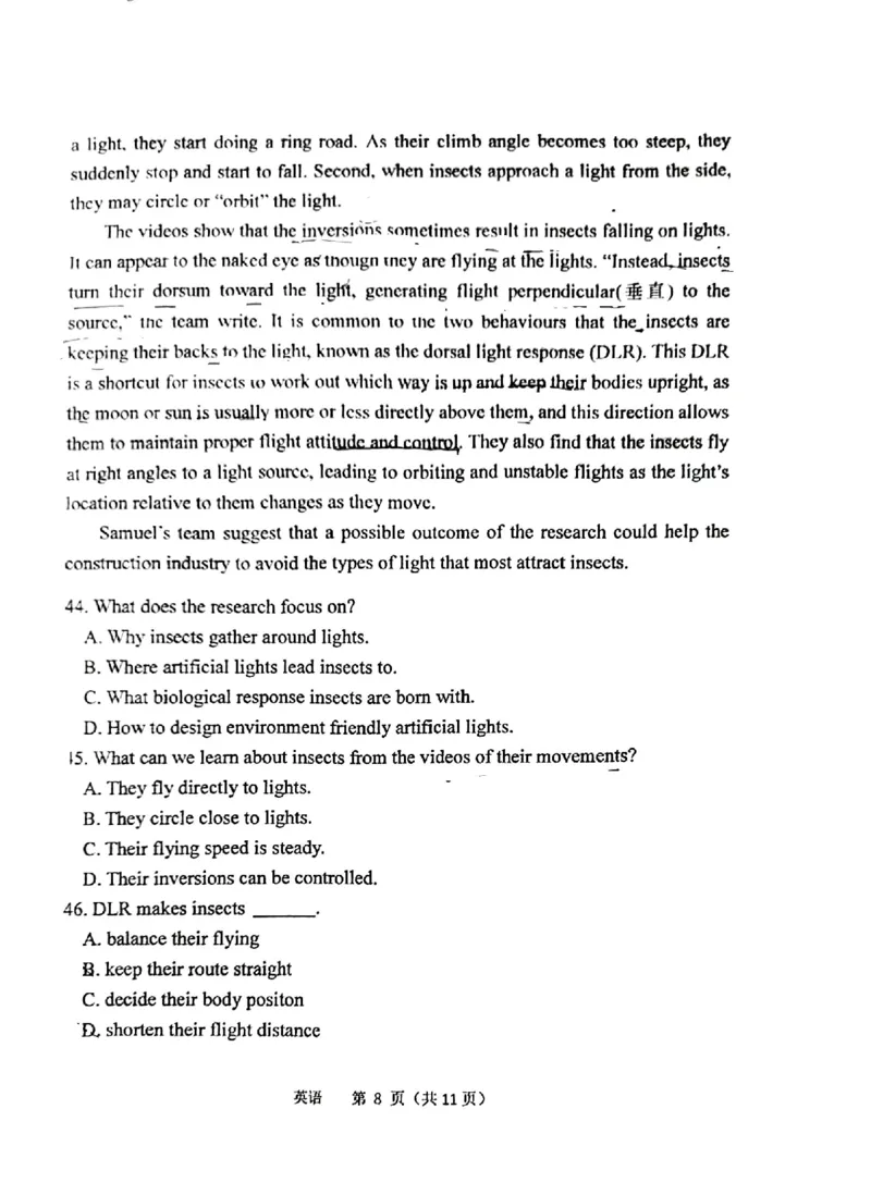 北京理工大学附属中学2024-2025学年高二上学期11月期中英语试题_2024-2025高二（7-7月题库）_2024年11月试卷_1113北京市北京理工大学附属中学2024-2025学年高二上学期11月期中考试