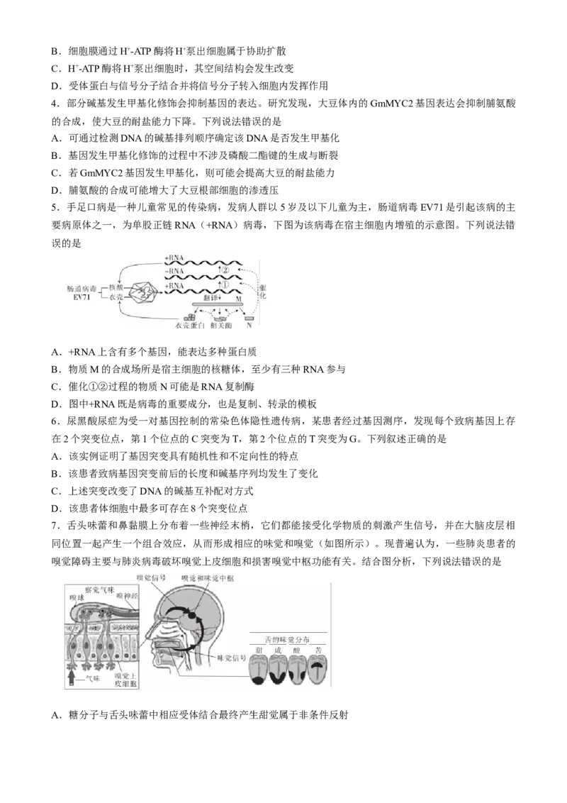湖北省十堰市2023-2024学年高三下学期4月调研考试生物试卷+答案(1)_2024年4月_024月合集_2024届湖北金太阳（24-418C）十堰市高三4月调研考试