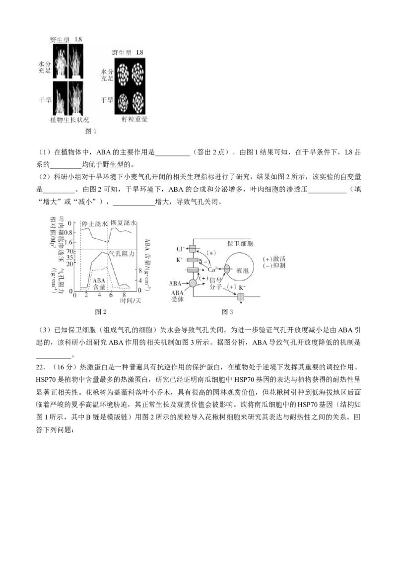 湖北省十堰市2023-2024学年高三下学期4月调研考试生物试卷+答案(1)_2024年4月_024月合集_2024届湖北金太阳（24-418C）十堰市高三4月调研考试