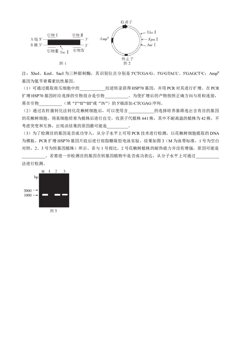 湖北省十堰市2023-2024学年高三下学期4月调研考试生物试卷+答案(1)_2024年4月_024月合集_2024届湖北金太阳（24-418C）十堰市高三4月调研考试