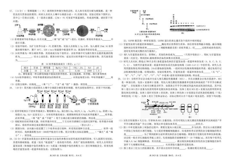 南充高中高2023级高二下期第一次月考生物_2024-2025高二（7-7月题库）_2025年04月试卷(1)_0406四川省南充市高级中学2024-2025学年高二下学期4月考试题
