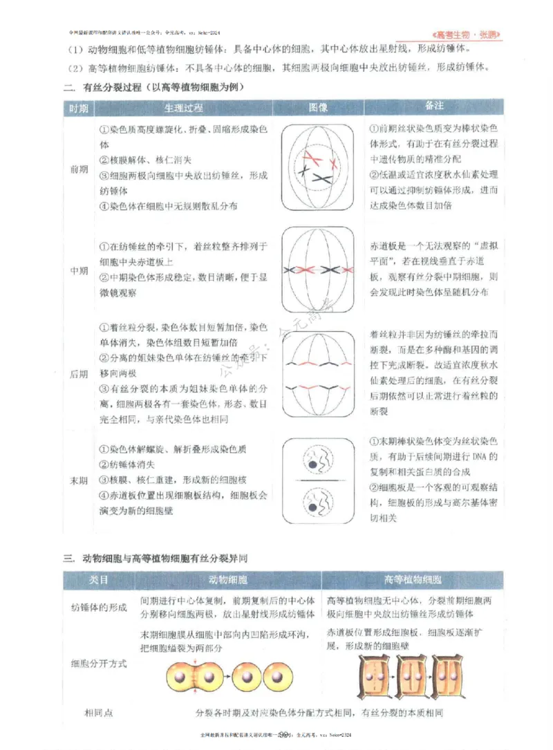 2024张鹏生物一轮复习讲义上_2024-2025高三（6-6月题库）_2024年09月试卷_张鹏