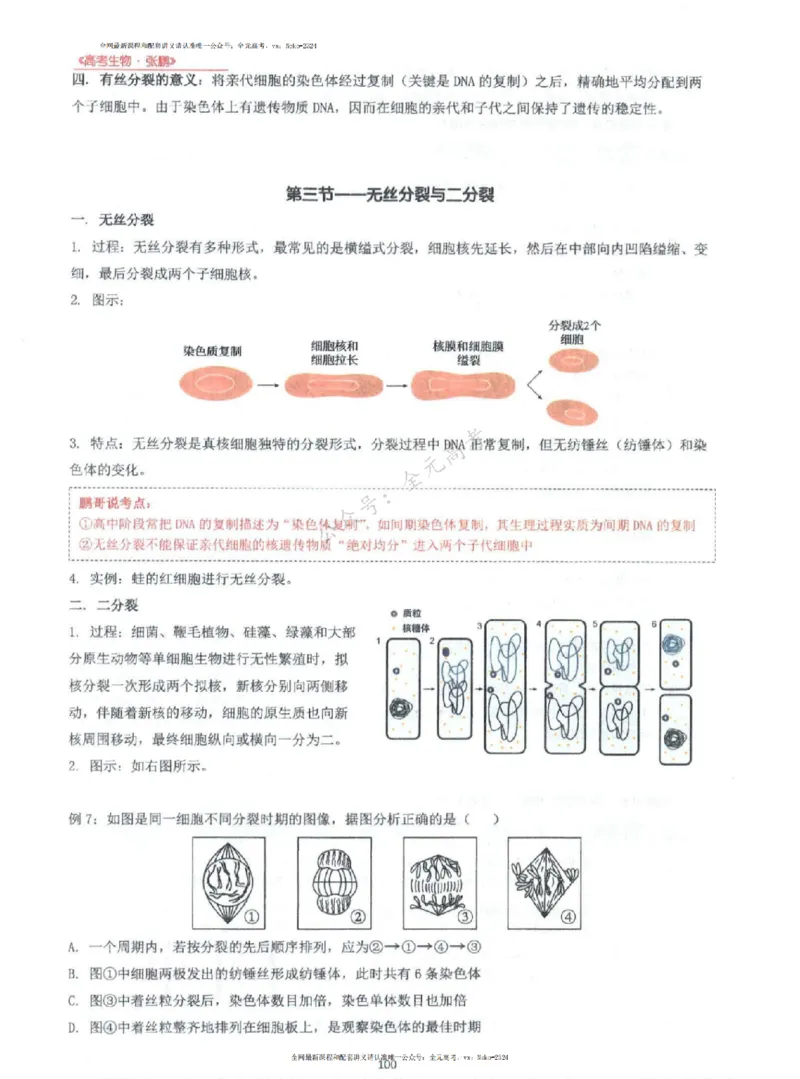 2024张鹏生物一轮复习讲义上_2024-2025高三（6-6月题库）_2024年09月试卷_张鹏
