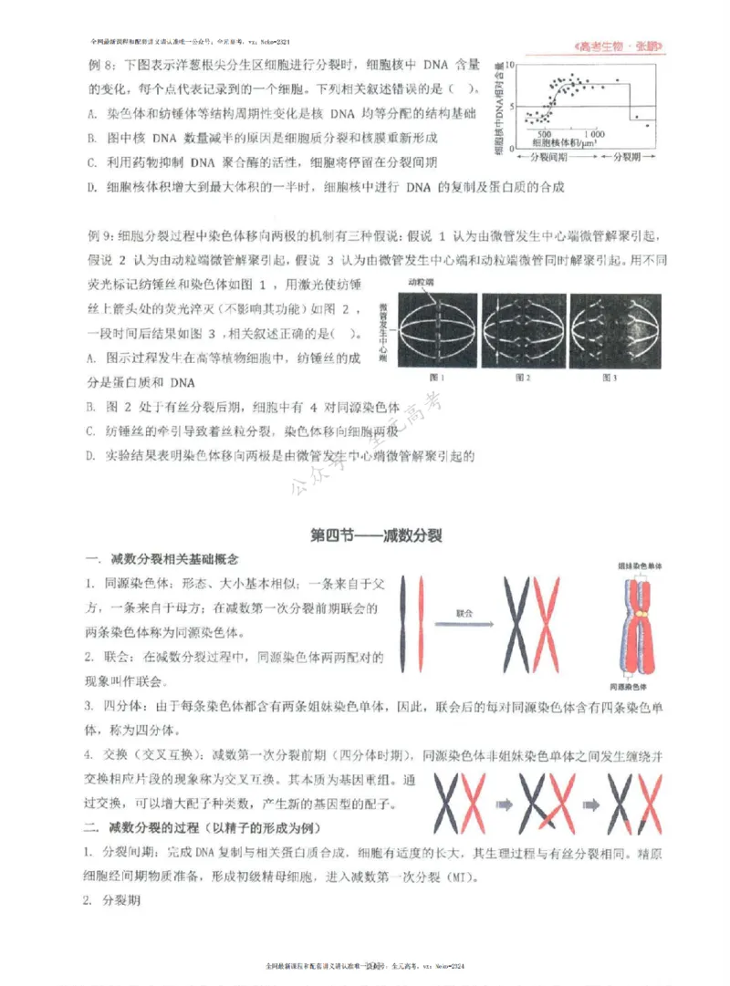 2024张鹏生物一轮复习讲义上_2024-2025高三（6-6月题库）_2024年09月试卷_张鹏