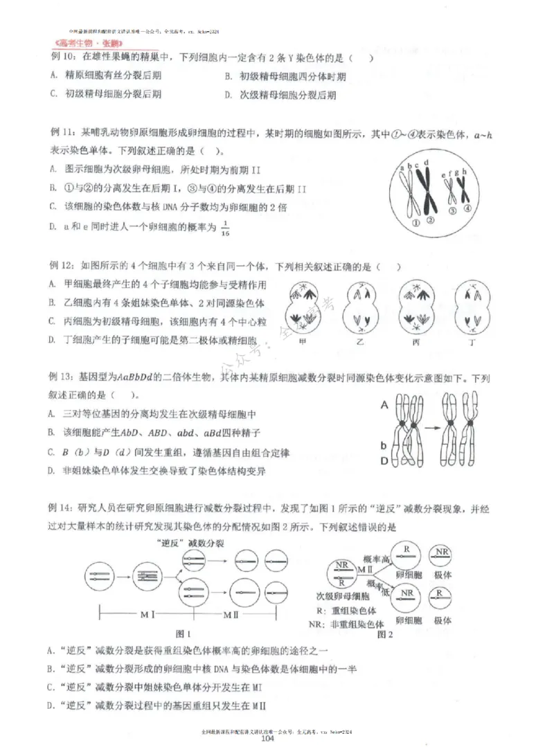 2024张鹏生物一轮复习讲义上_2024-2025高三（6-6月题库）_2024年09月试卷_张鹏