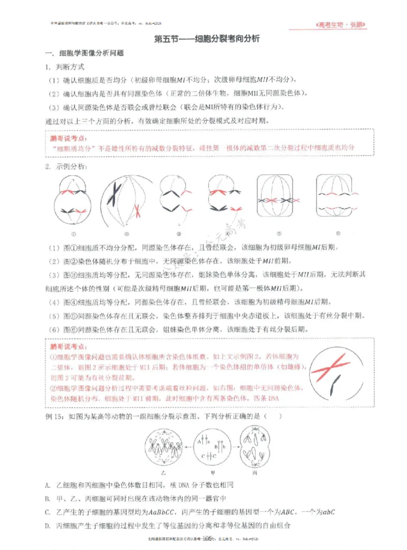2024张鹏生物一轮复习讲义上_2024-2025高三（6-6月题库）_2024年09月试卷_张鹏