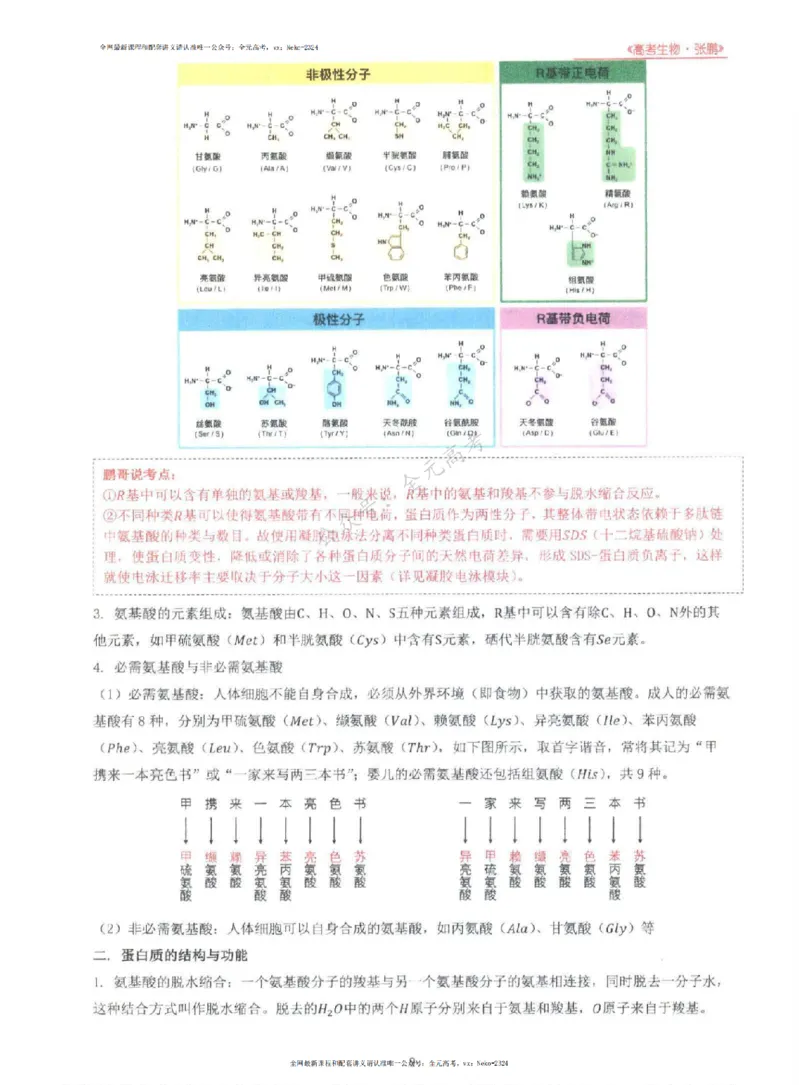 2024张鹏生物一轮复习讲义上_2024-2025高三（6-6月题库）_2024年09月试卷_张鹏