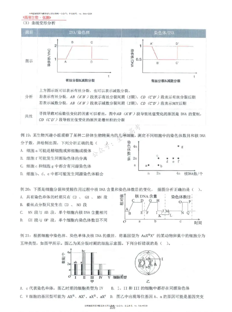 2024张鹏生物一轮复习讲义上_2024-2025高三（6-6月题库）_2024年09月试卷_张鹏