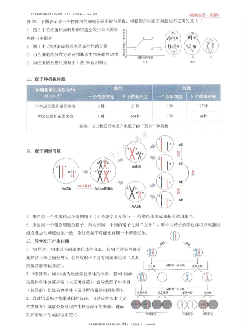 2024张鹏生物一轮复习讲义上_2024-2025高三（6-6月题库）_2024年09月试卷_张鹏