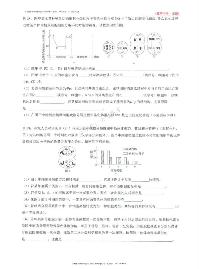 2024张鹏生物一轮复习讲义上_2024-2025高三（6-6月题库）_2024年09月试卷_张鹏