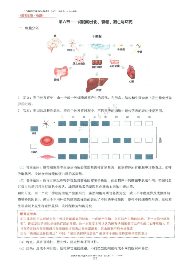 2024张鹏生物一轮复习讲义上_2024-2025高三（6-6月题库）_2024年09月试卷_张鹏